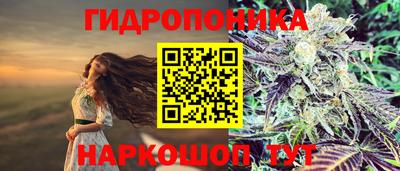 дживик Ливны