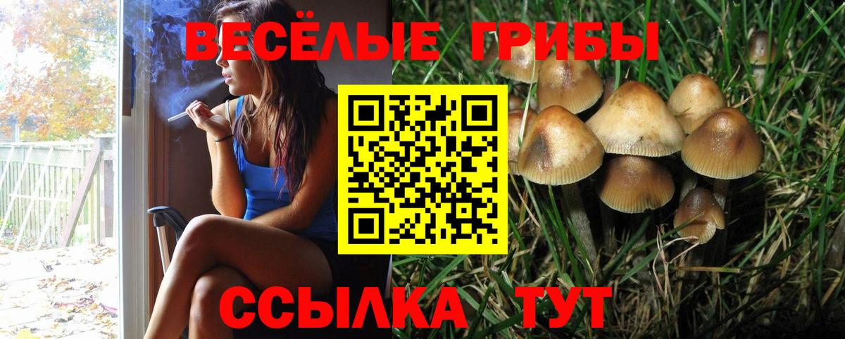 Улан-Удэ  Псилоцибиновые грибы прущие грибы  Вход с VPN  Псилоцибиновые грибы прущие грибы 